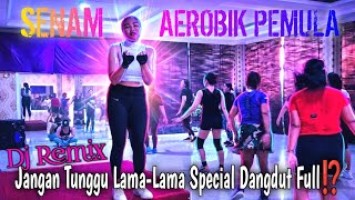 Download lagu Senam Aerobik Pemula Dj Remix Jangan Tunggu Lama-Lama Special Dangdut Full⁉️ @LiaMarliaChannel  mp3