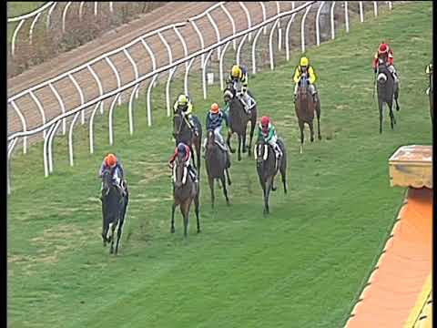 Galoppo 29/11/2017 - 3ª corsa