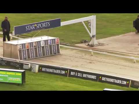 2021 Dorando marathon Towcester