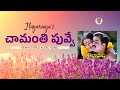 Chamanthi Puvve Remastered Audio Kaalapaani 1996 SPB Chitra Ilaiyaraaja Mohanlal
