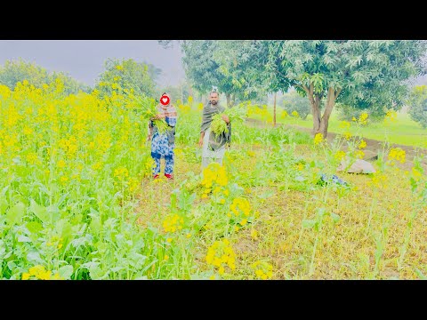 Begum Ke Sath Competition // Begum  Ne Kea Challenge 