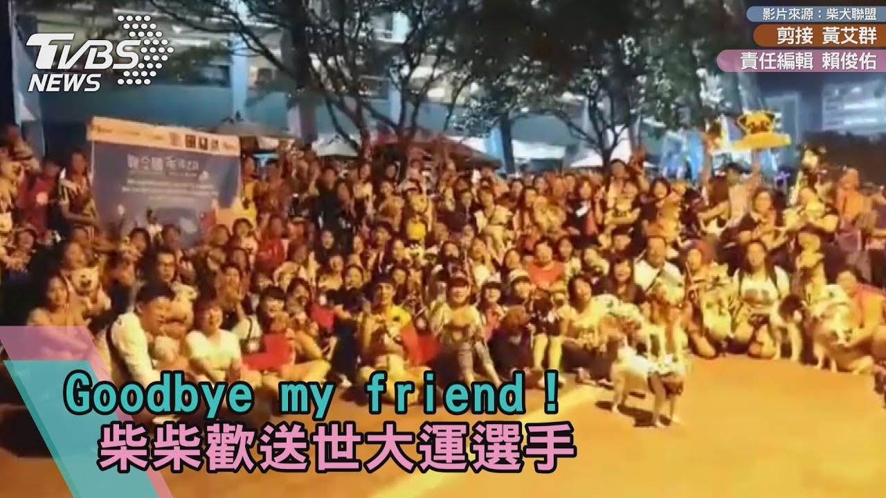 Goodbye my friend！　柴柴歡送世大運