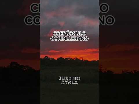 Una muestra maestra de lo sublime del crepúsculo guaraní - Eusebio Ayala / Cordillera.