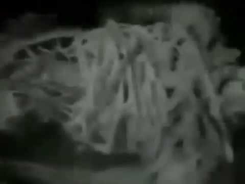 SUICIDEWΛVЕ - IN ʏour ΣYΣS