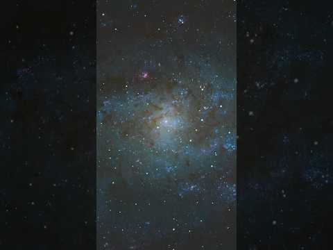 The Triangulum Galaxy through my 11” telescope #triangulum #galaxy #telescope #shorts
