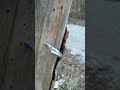 Easiest way to screw in an eyebolt! #shorts