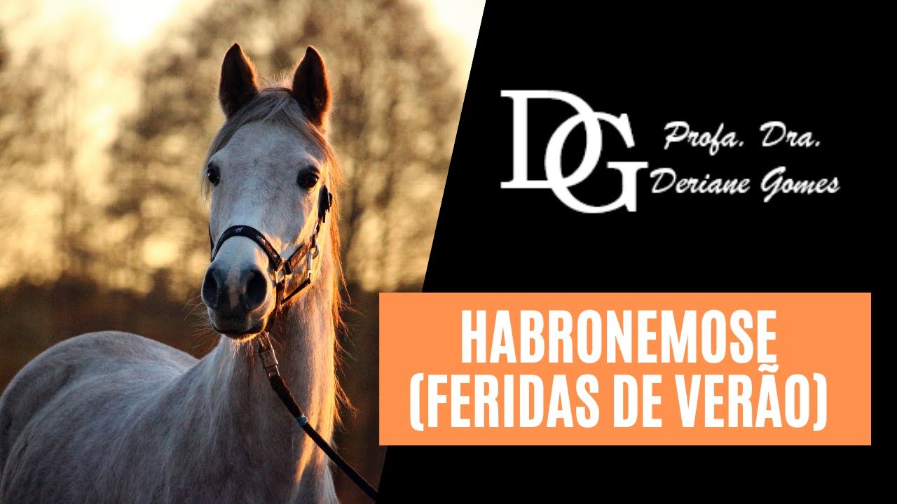 076. Habronemose (Feridas de Verão)