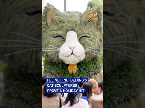 Feline fine: Beijing's cat sculptures prove a holiday hit