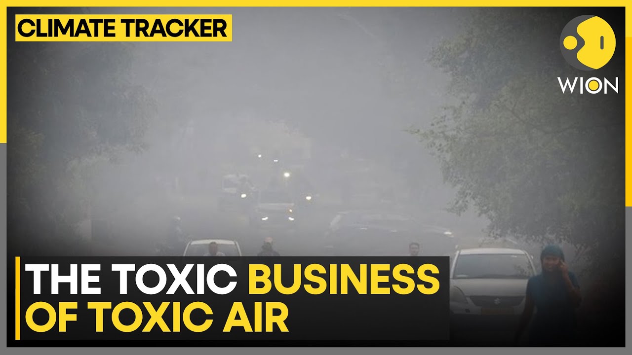 India: The Business Impact Of Delhi's Hazardous Air | WION Climate Tracker