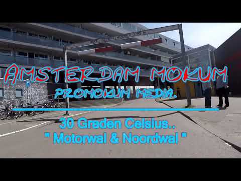 Amsterdam noord  Motorwal en de Noordwal    En het is HEET   28 5 2017