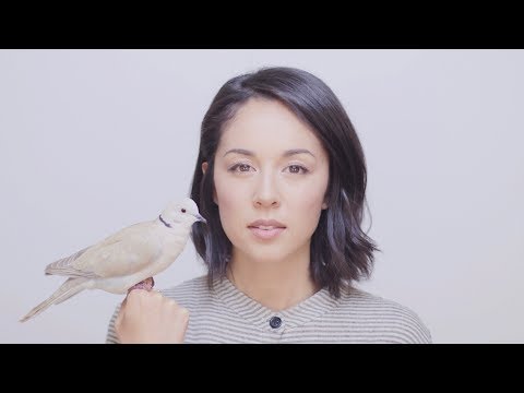 Video thumbnail for Birdsong