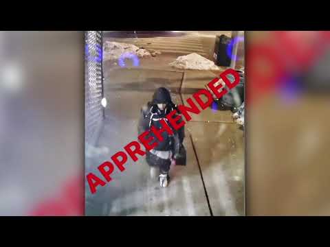 Subway Stabbings Arrest