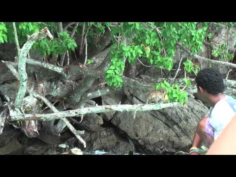 Monkey beach at Yong Kasem Bay, Koh Phi Phi Don