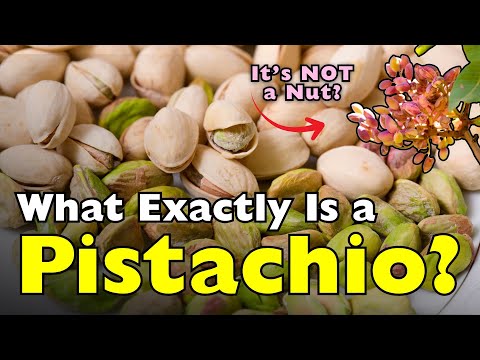 全世界都在瘋「開心果」口味，但你真的知道它是什麼嗎？ (What Exactly Is a Pistachio? It's Not What You Think [ID0621])