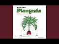 Symphony For A Spider Plant by Mort Garson