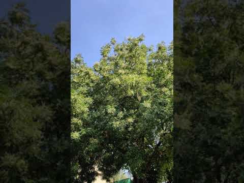 Karan Singh control your anger