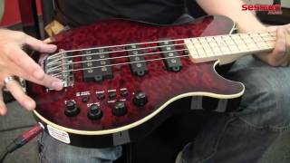 Video thumbnail for MUSIC MAN 25th Anniversary Bass HSS by session