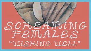 Screaming Females - Wishing Well (Official Audio)