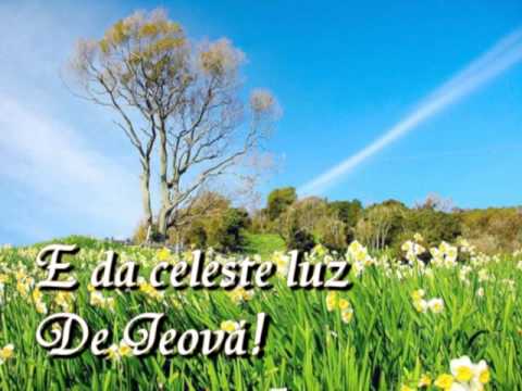 Breve Verei o Bom Jesus - 442 - Harpa Cristã.mpg