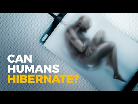The Insane Evolution of: Hibernation