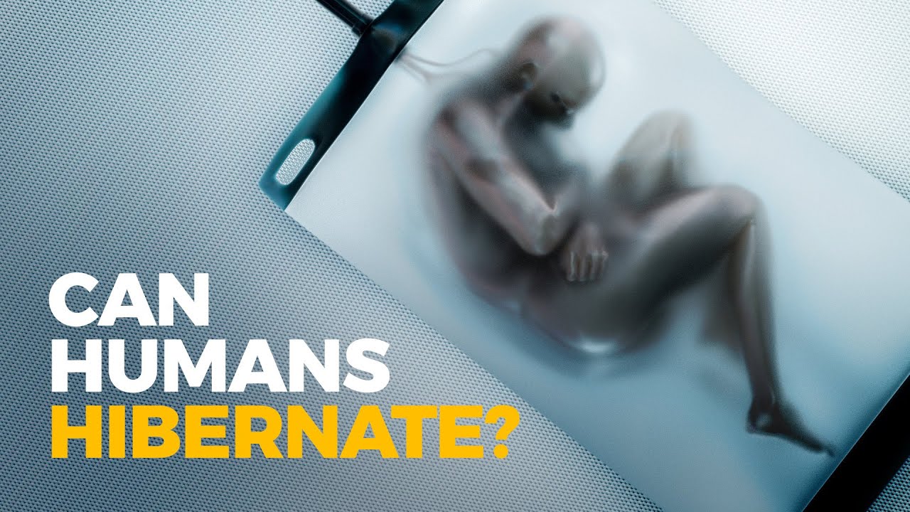 The Insane Evolution of: Hibernation