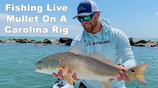 Carolina Rig: Best Way To Rig Live Mullet In Heavy Structure & Current