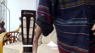 Video thumbnail for My Review of my Eastman E20 P by Silly Moustache