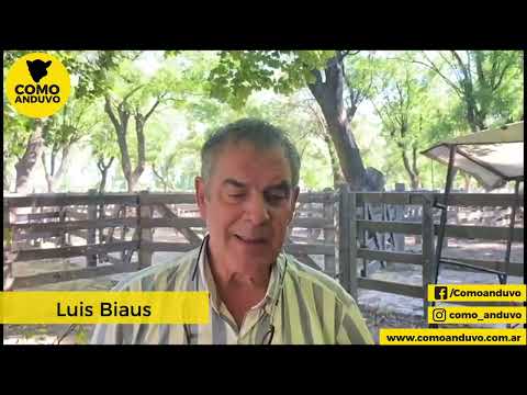 Luis Biaus, Goenaga y Biaus. Azul 15/12/23.