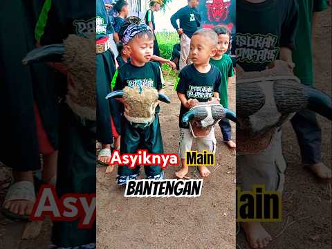 Joget Bantengan bersama teman #bantengan #shortsviral #jaranan #barongan #semuaorang #funny