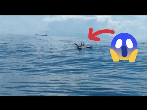 JACKPOT SA AMAZING BATANG OR KAHOY WATCH THE FULL VIDEO JACKPOT@KAHATOT OFFICIAL TV