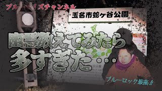 【多すぎ】幽霊数えてみたら想像以上に多かった蛇ヶ谷公園にて