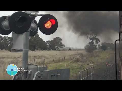 Diesel Locomotive 4464 - Orange Shuttle - July 2023