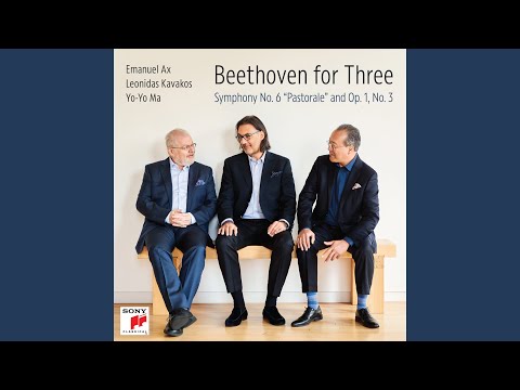 Piano Trio No. 3 in C Minor, Op. 1, No. 3: IV. Finale. Prestissimo