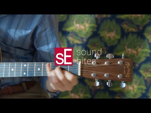 sE Electronics sE 2200