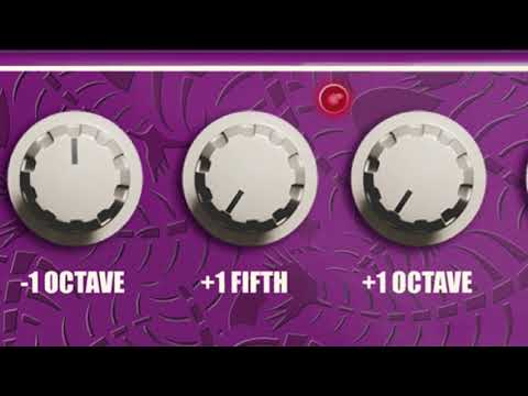 Free Download Quinta v1.0.3 WiN-R2R