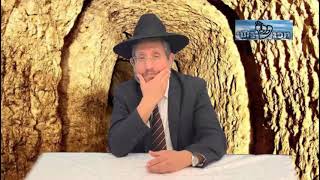 קצרים : הרב שמואל אברך שליט"א. פרשת דברים תשפ"א