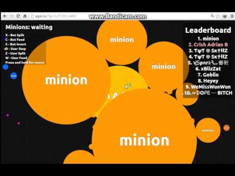 Bot 99999 Biggest World Score- Ever and-Agar.io