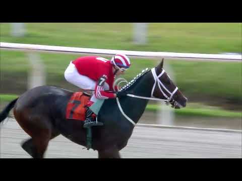 220417 c04 STEEN CHAMPION