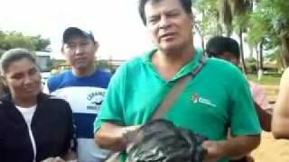 preview picture of video 'Eliminación de criaderos del mosquito Aedes Aegypti y abatización 14 01 2012'