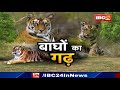Bandhavgarh National Park How Did The Fate And Fortune Of Bandhavgarh The Stronghold Of Tigers