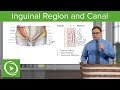 Inguinal Region Canal Abdomen Lecturio