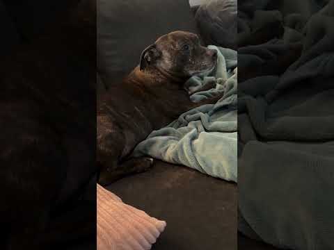 Sunday Scaries. Who are we kidding… everything is some kind of dramatic when you’re a spoiled Hunni