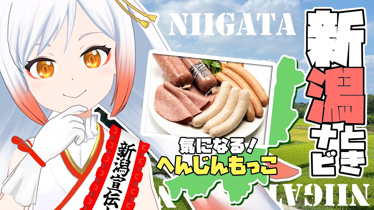 【新潟グルメ】へんじんもっこ‼ついに実食😳🍖新潟グルメ情報をお届け🕊ときナビ【Vtuber越後屋ときな🌾勝手に新潟宣伝大使】#pr