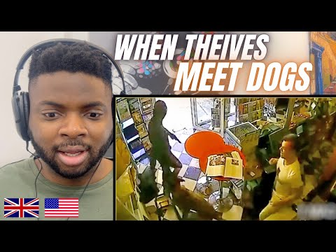 Brit Reacts To WHEN THIEVES GET CAUGHT BY DOGS!