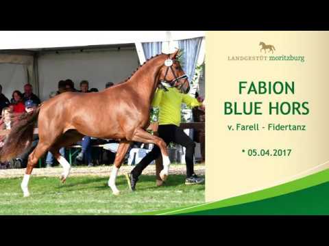 FABION BLUE HORS v. Farell - Fidertanz
