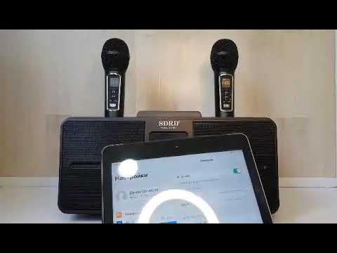 Обзор Портативной беспроводной караоке колонки SDRD 309 с двумя микрофонами