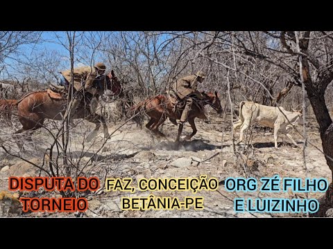 (DRONE) DISPUTA DO TORNEIO PÉ DE PORTEIRA FAZ, CONCEIÇÃO BETÂNIA-PE ORG, ZÉ FILHO E LUIZINHO 