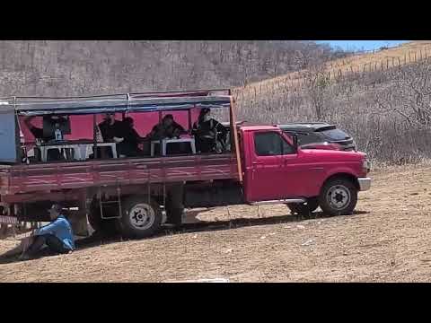 Pega de boi no mato fazenda divisão Boa viagem Ceará Brasil