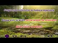 Vida - Version Acustico (Karaoke) - Vaes