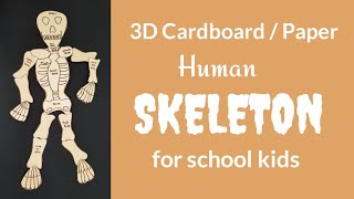 3D Human Skeleton (with labels) school project for kids